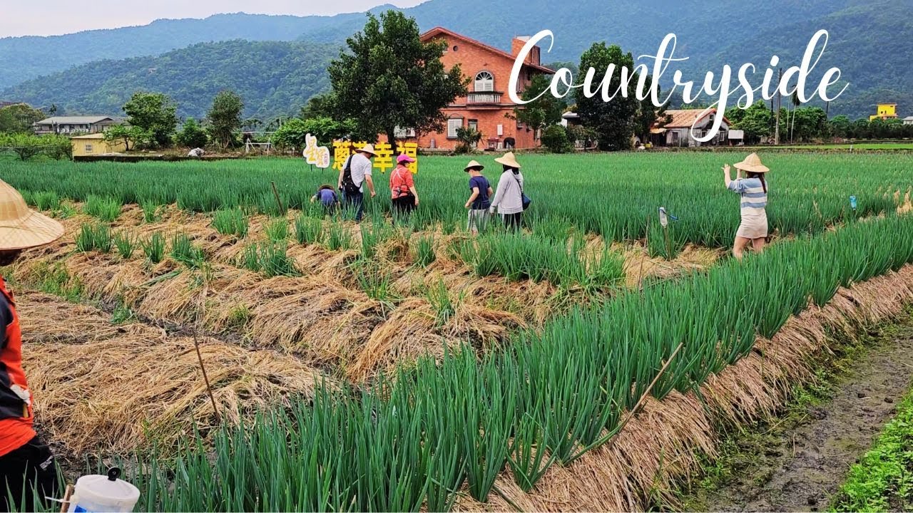 How To Relax And Enjoy A Day In The Countryside Of Taiwan