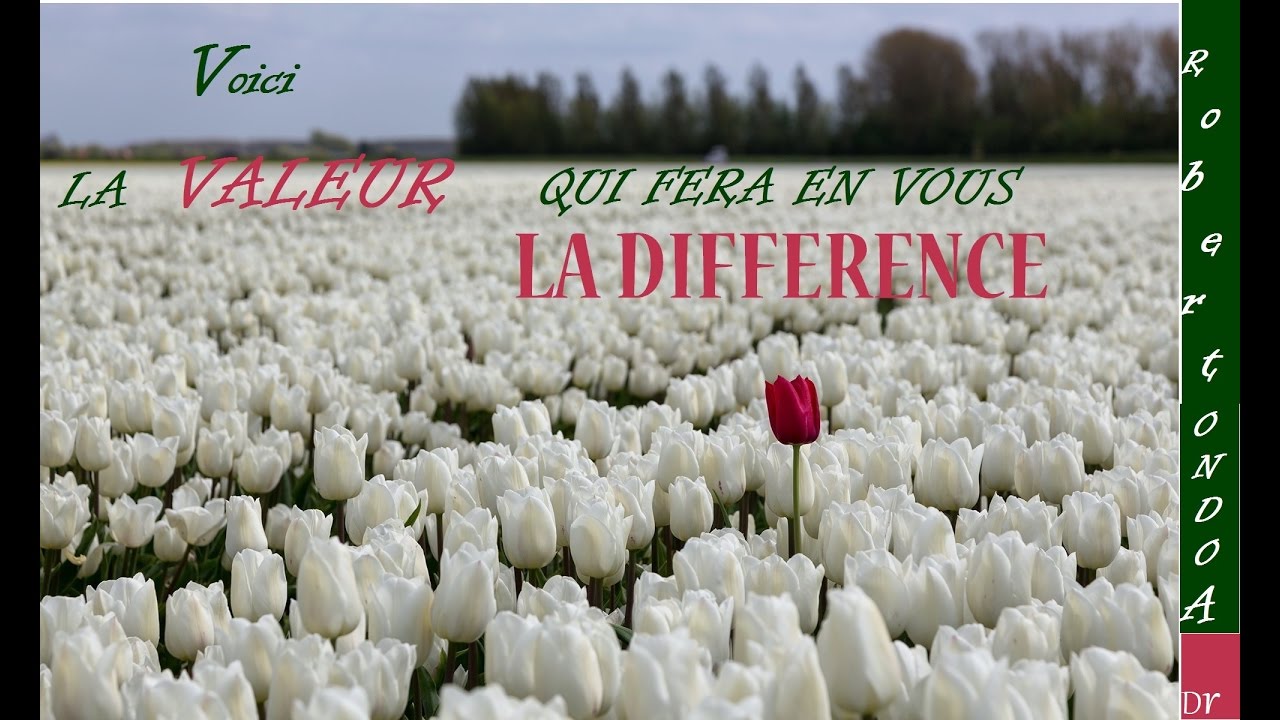 VOICI LA VALEUR QUI FERA EN VOUS LA DIFFERENCE  -  Monseigneur Robert ONDOA