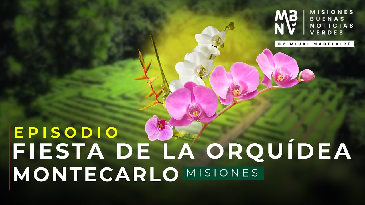 Fiesta Nacional de la Orquídea | Montecarlo