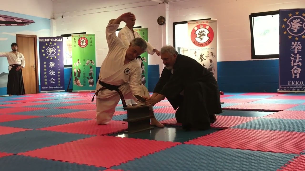 KENPO KAI SENSEI