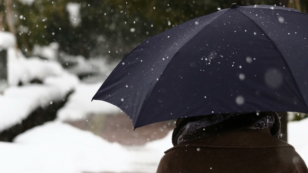 八代亜紀　細雪