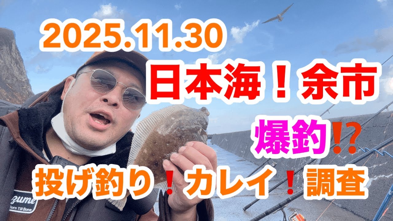 2025.11.30.日本海❗️余市❗️カレイ釣り❗️爆釣⁉️#北海道投げ釣り#余市漁港釣り#カレイ釣り#釣りキチチュン太
