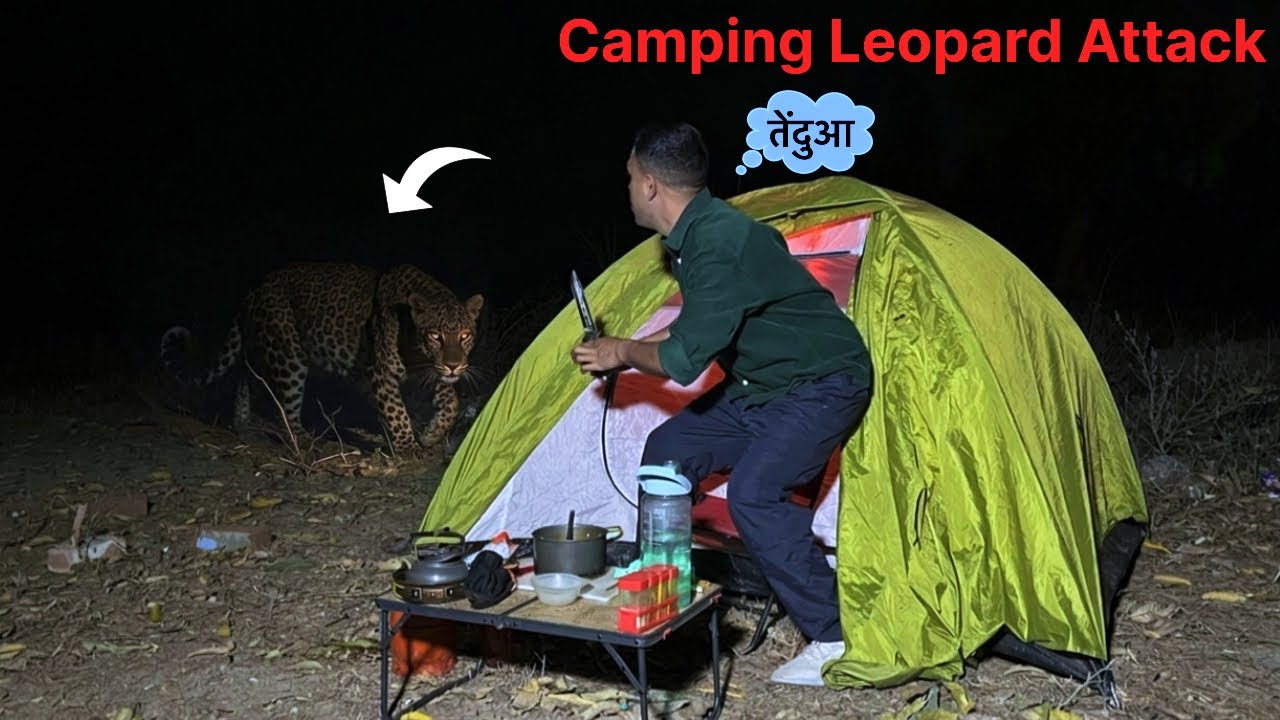 Solo Night Camping 🐆तेंदुआ टेंट के बाहर था In Dangerous Forest Animal Attack JungleCampingVideoIndia