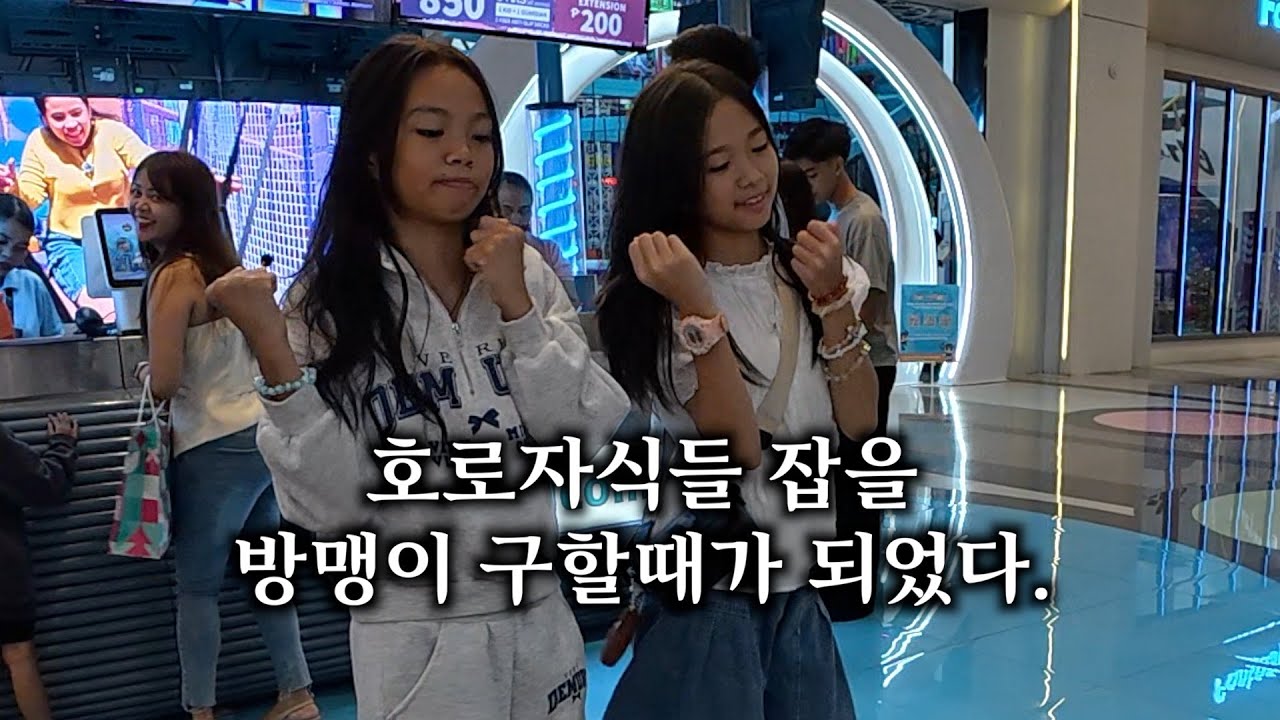 [한필가족 일기] 계획보다 너무 이쁘게 커버린 딸들 | 새끼고양이 구출 작전
