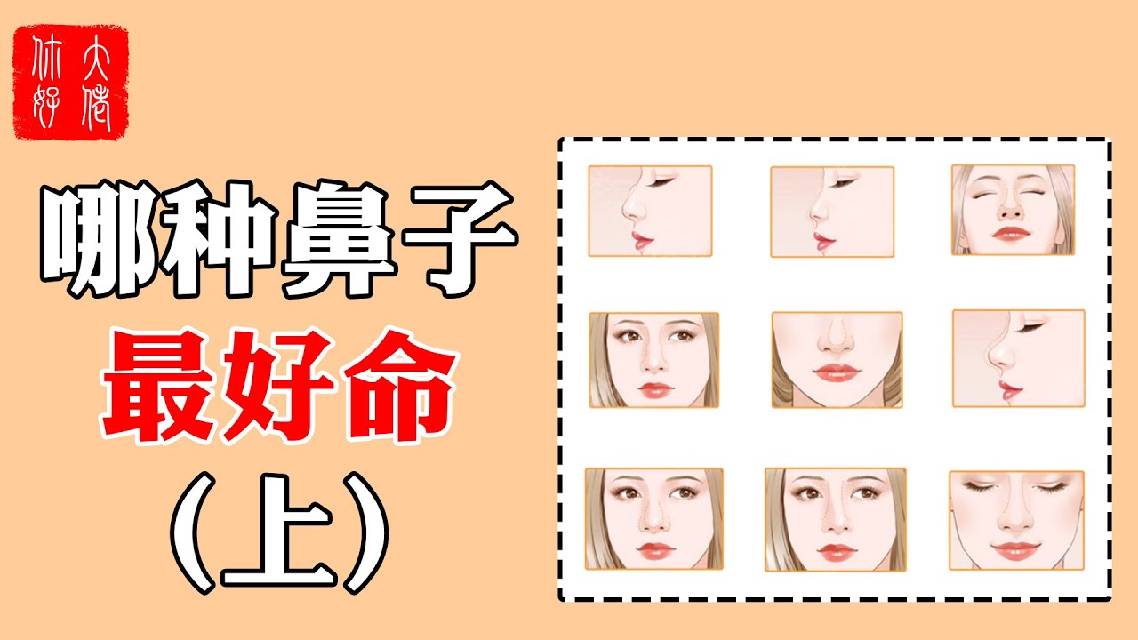 【面相】哪種鼻相最好命？（上）高鼻好享樂，長鼻財運佳，但還是比不過這種鼻相！#大佬你好啊