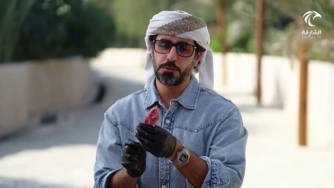 تكة لحم | نكهات في الشارقة