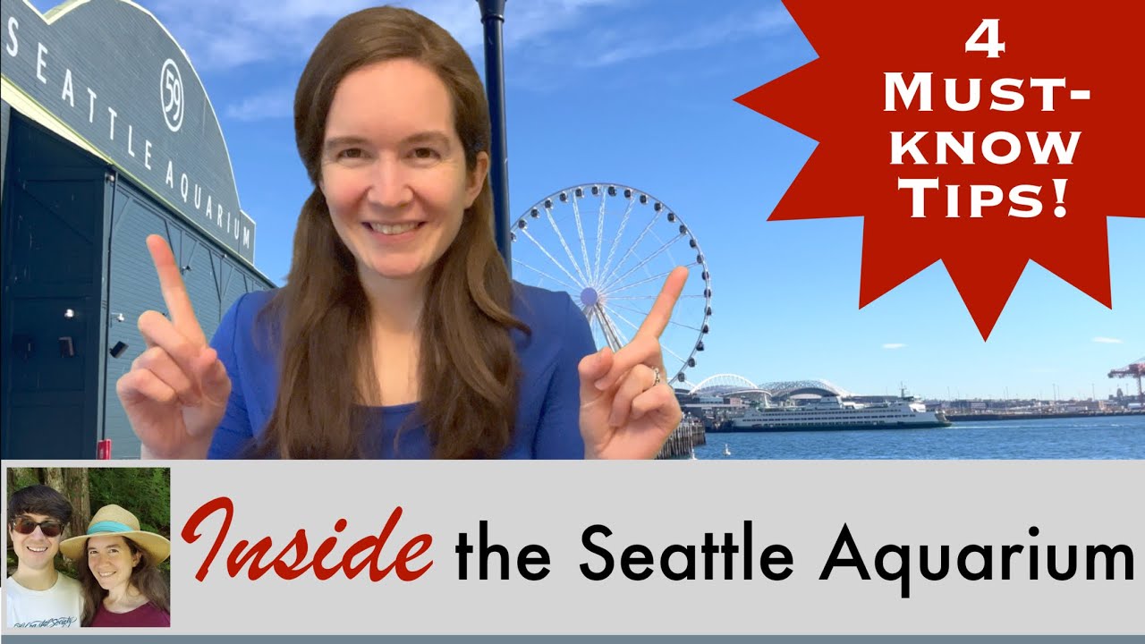 4 Must-Know Tips for Your Seattle Aquarium Visit!