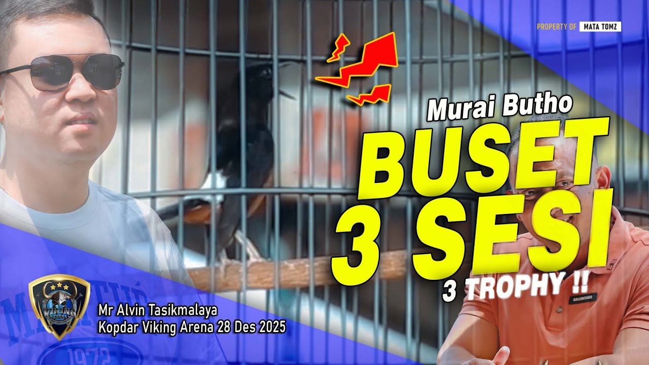 NAGEN 3 SESI !! BUTHO MR ALVIN TASIK | KOPDAR VIKING ARENA