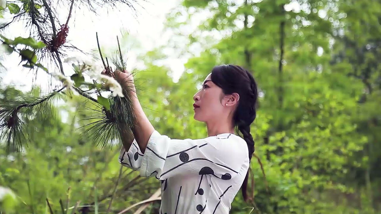 ChineseFood | 迎夏季，自己动手制作一坛松针酒..|In the summer, make yourself a jar of pine needle wine..