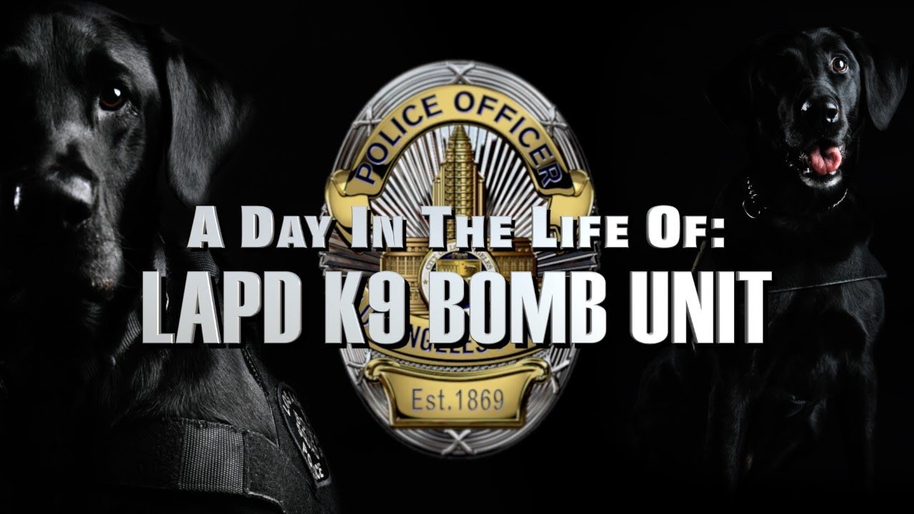 A Day In The Life Of: LAPD K9 BOMB UNIT