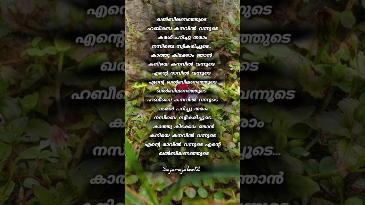 🥰🥰#mappilappatt #songlyrics #songstatus #sajarajaleel2 #islamicstatus #shortsvideo #islamicsong