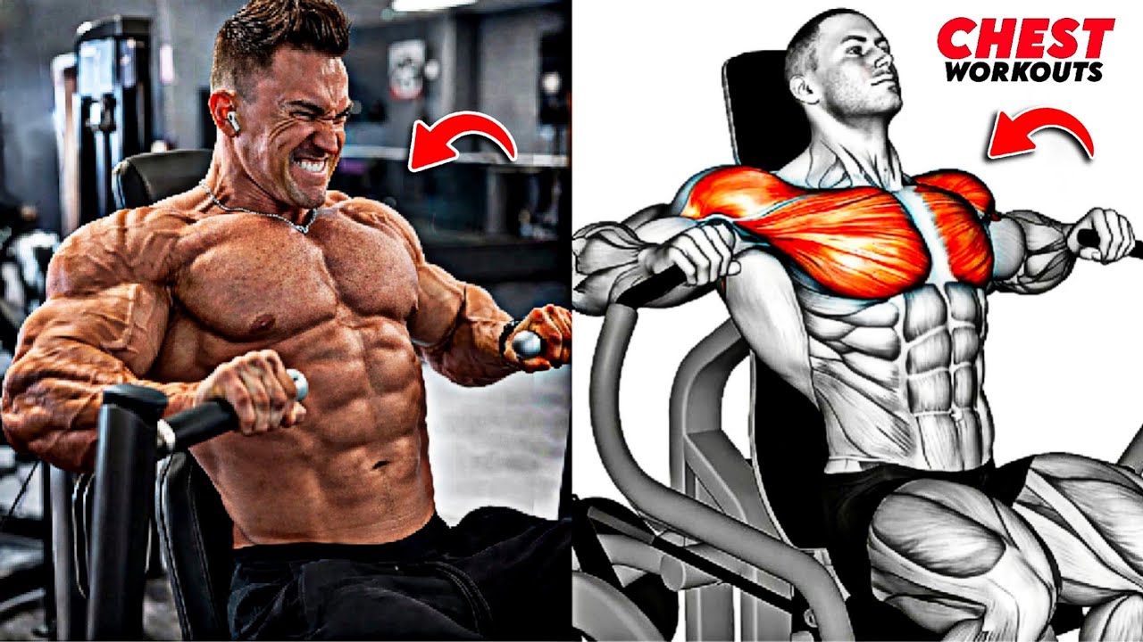 8 Best Chest Exercises to Build a Massive, Thick, Sculpted Chest Fast 🔥
