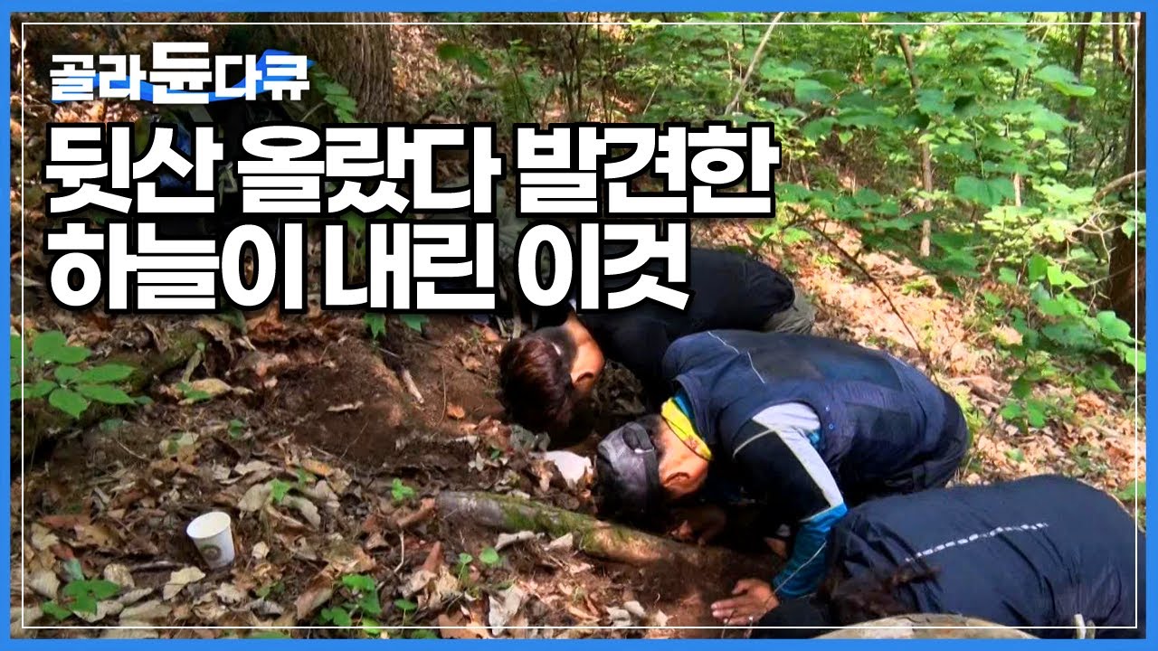 다 같이 모여 절 드립시다! 얼마나 귀하길래 절까지...? 높은 산세를 뚫고 아찔한 절벽에 오르는 사람들 │약초꾼 산행│극한직업│#골라듄다큐