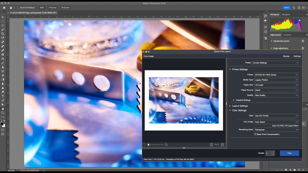 Simplify Your Printing with Epson Print Layout