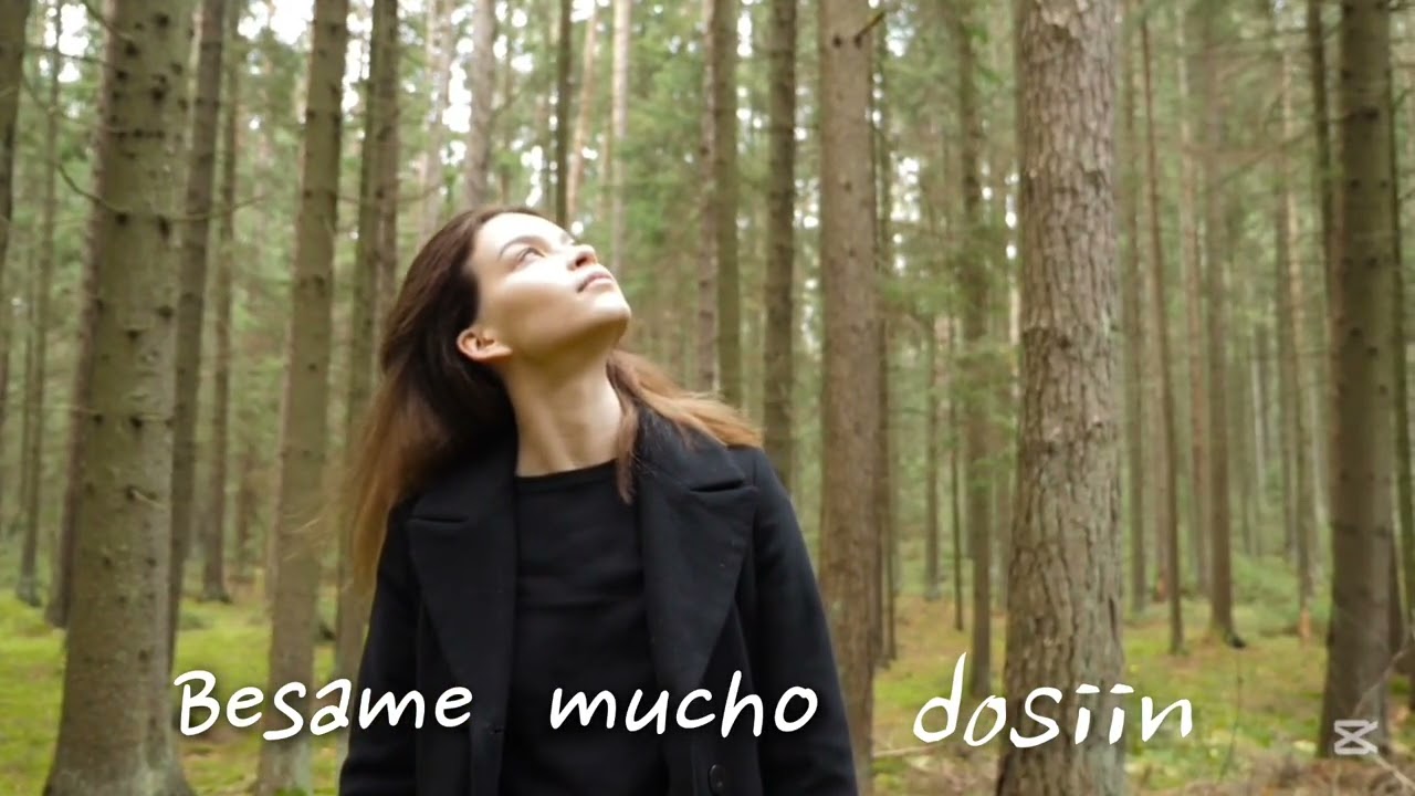 Besame mucho#도시인커버#아리랑문화공간 