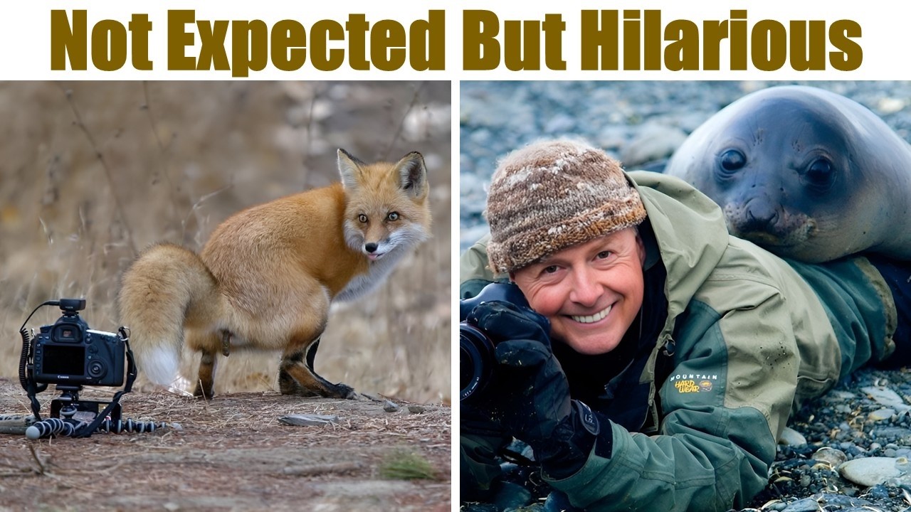 “The Day My Heart Melted”: Wildlife Photography GONE WRONG But In Hilarious Ways