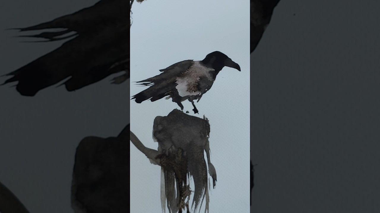 Hoodies? Apparently that's another name for hooded crows. So hoodies are awesome! #crows #darkart