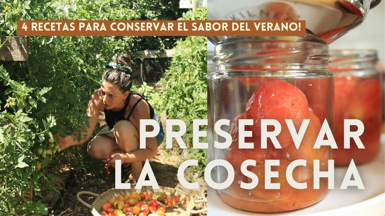 Preservar la Cosecha 🧺🍅 | 4 Recetas para Conservar el sabor del Verano 🌿 !!