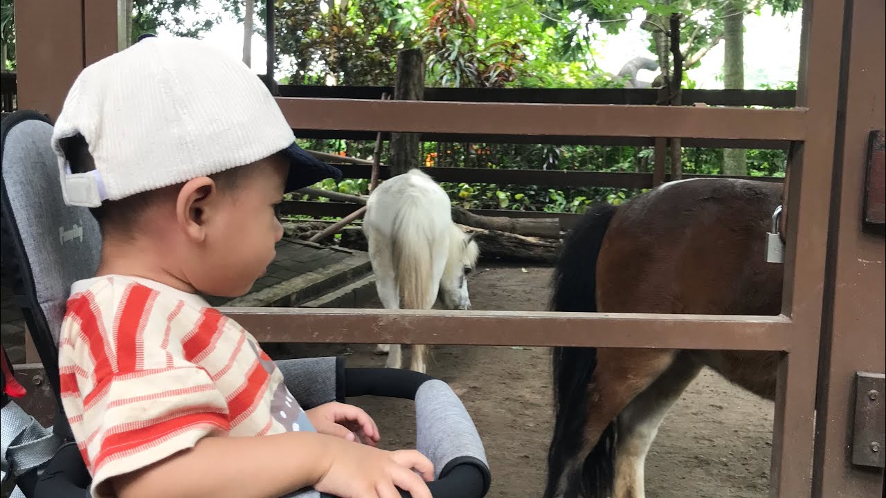 GEMBIRALOKA ZOO JOGJA || #16 