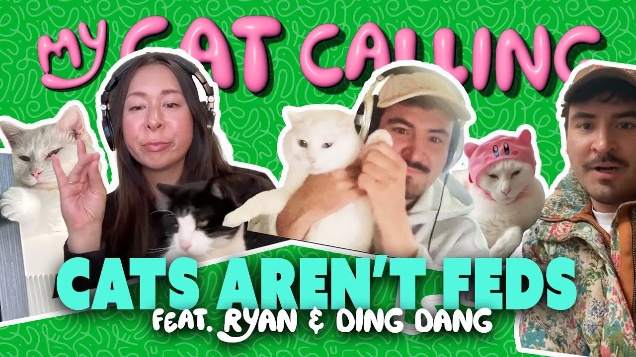 Cats Aren't Feds feat. Ryan and Ding Dang