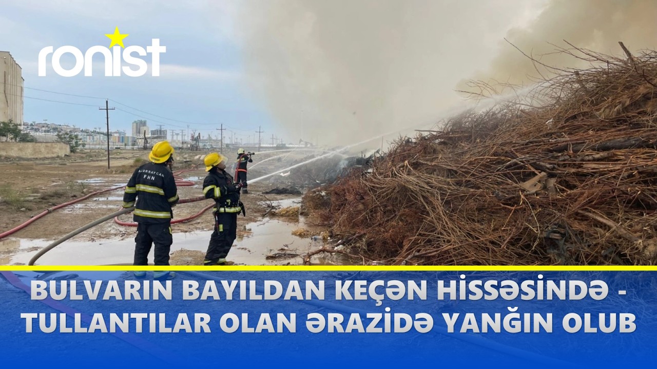 Səbail rayonunda dənizə açıq ərazidə yanğın olub (09.06.2024)