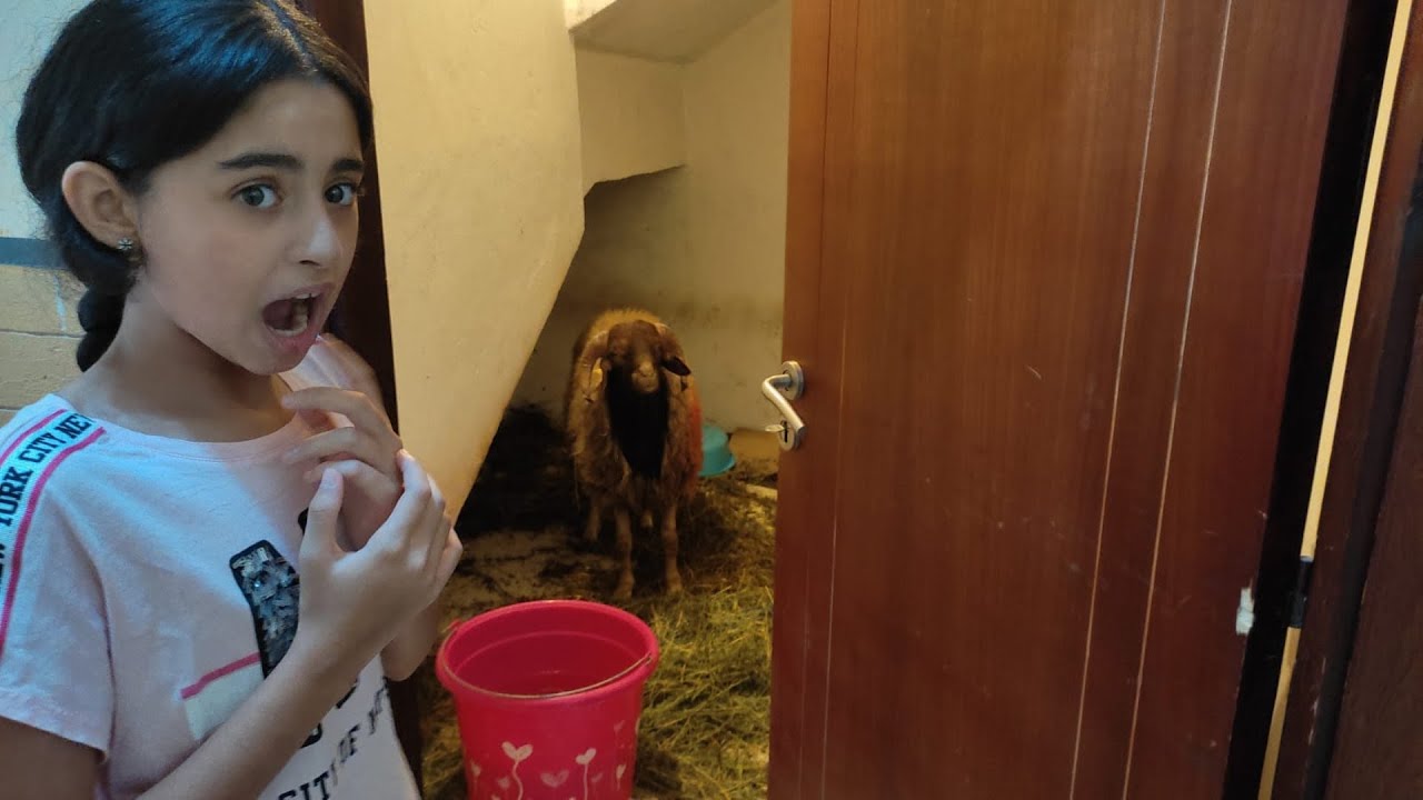 الحولي ديالنا كان غيهرب لينا...😱