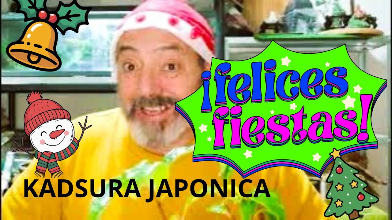 FELICES FIESTAS 2025--Bonsai kadsura Japonica--nuevo en el canal