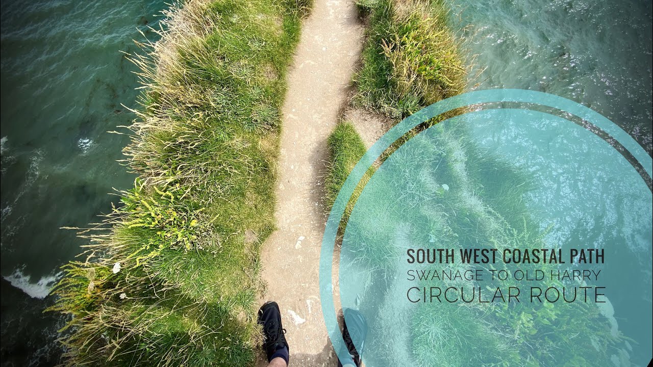 South West Coastal Path. Swanage to Old Harry. Perched on a ledge in the wind!