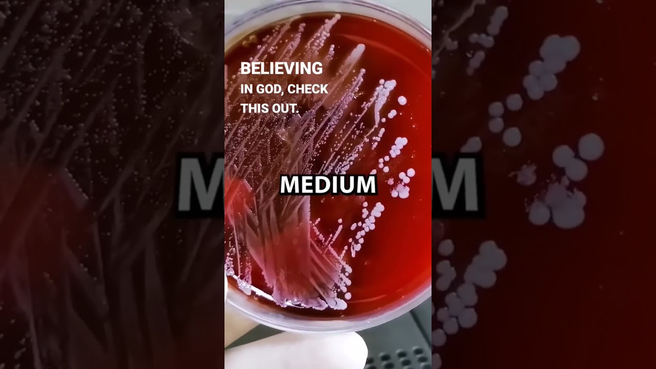 WATCH THIS IF YOU NEED PROOF 😱😱 