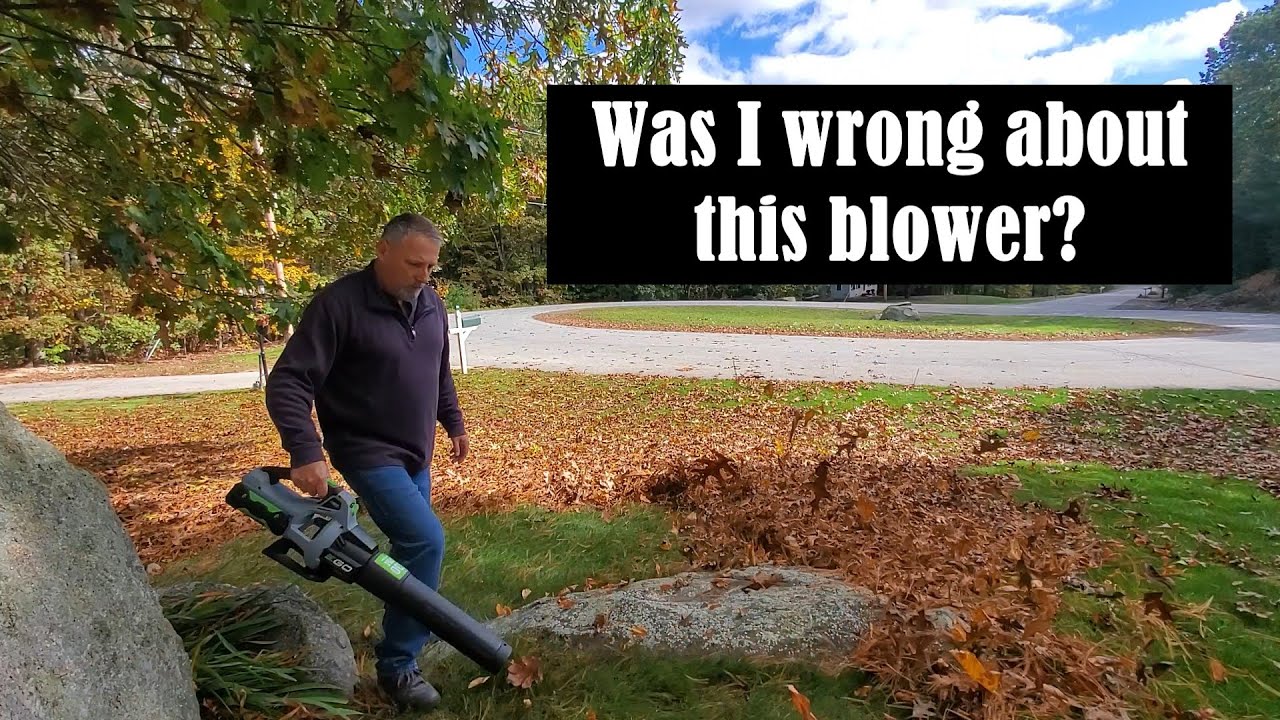 Ego 530 CFM Cordless Blower - Better Than Expected? / Expose Your Lawn To The Sun! / Last Fert 2021