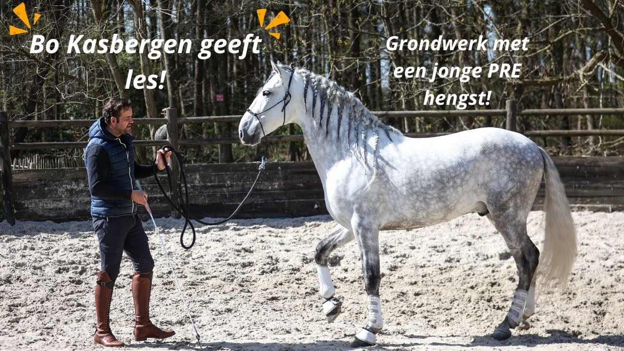 Grondwerken met een HENGST! Bo geeft LES aan ons! |Purarazadivino | BB premiumhorsemanship VLOG #68