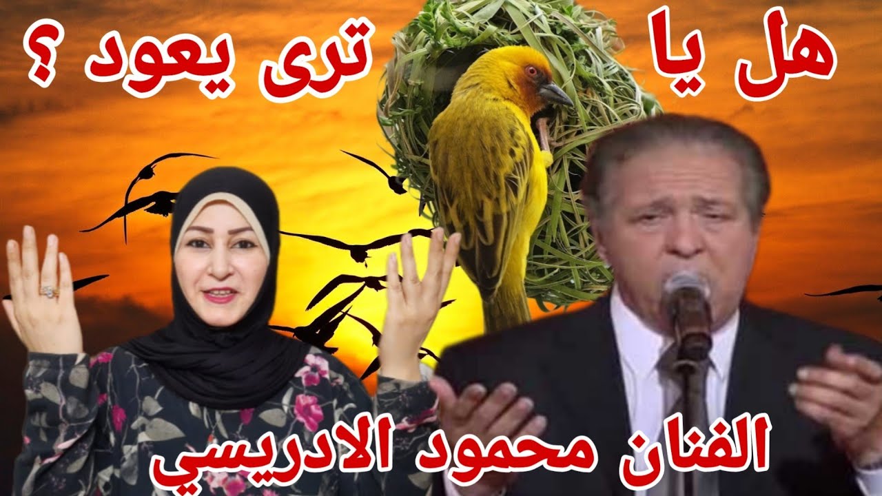 رمز من رموز الغناء المغربي 🇲🇦 محمود الادريسي في أغنية هل يا ترى يعود ؟
