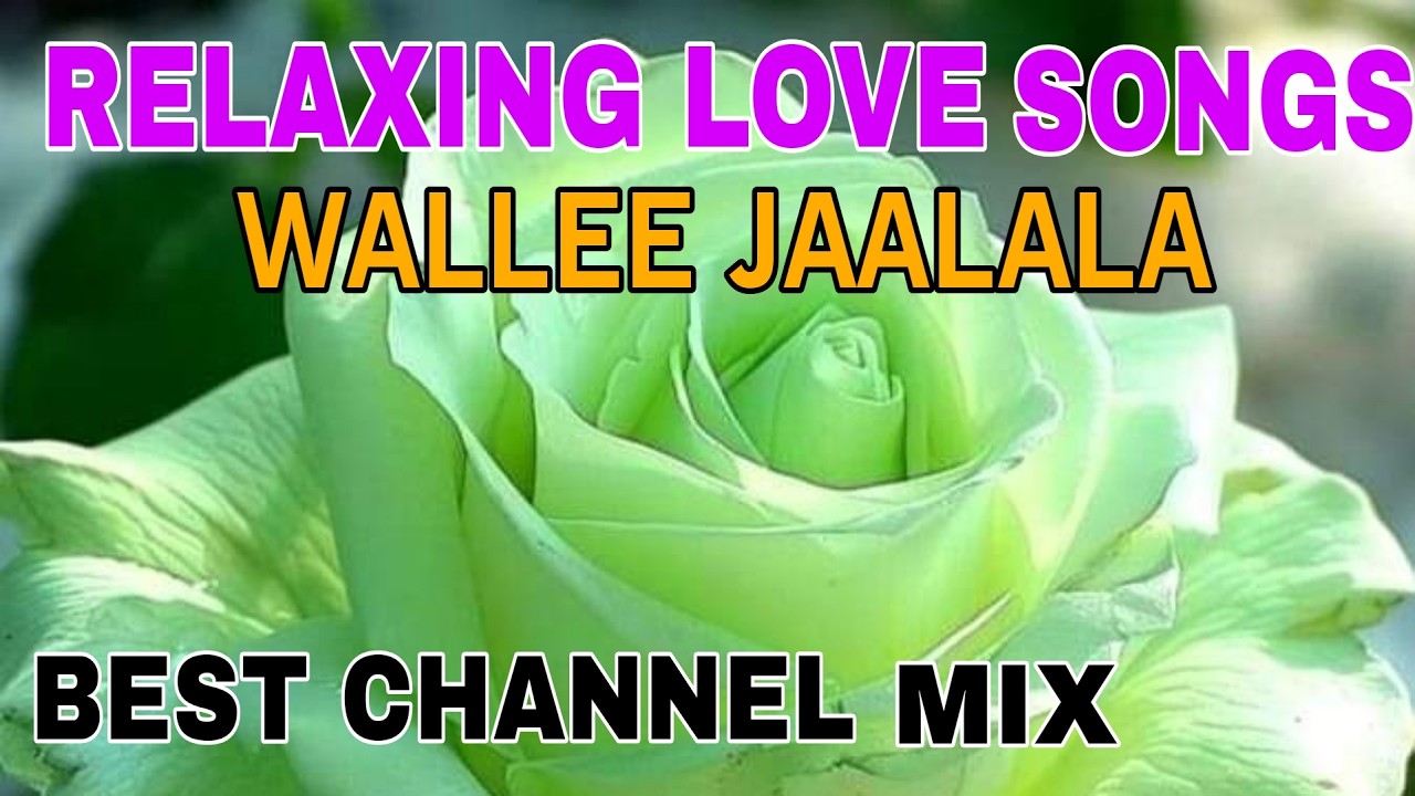 RELAXING OROMO MUSIC *CH. MIX-13 **BEST LOVE SONG