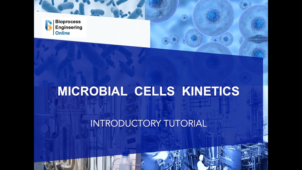 Microbial cells kinetics