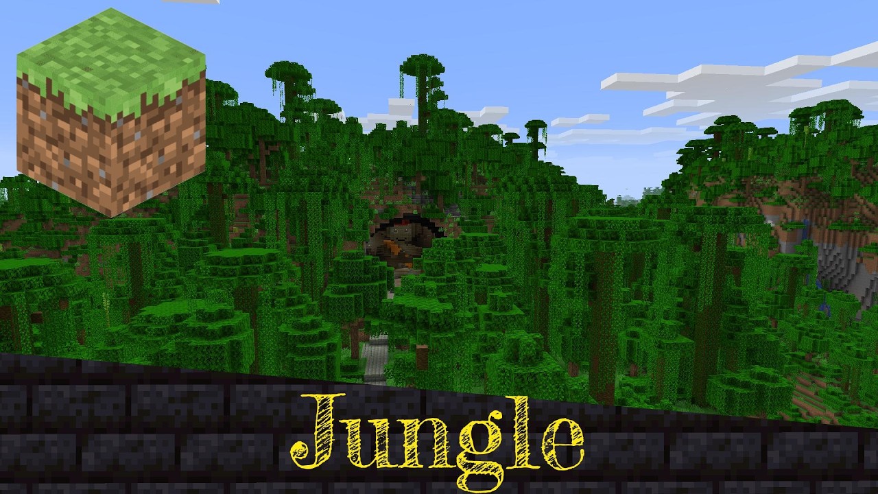 Walking Through a Jungle
