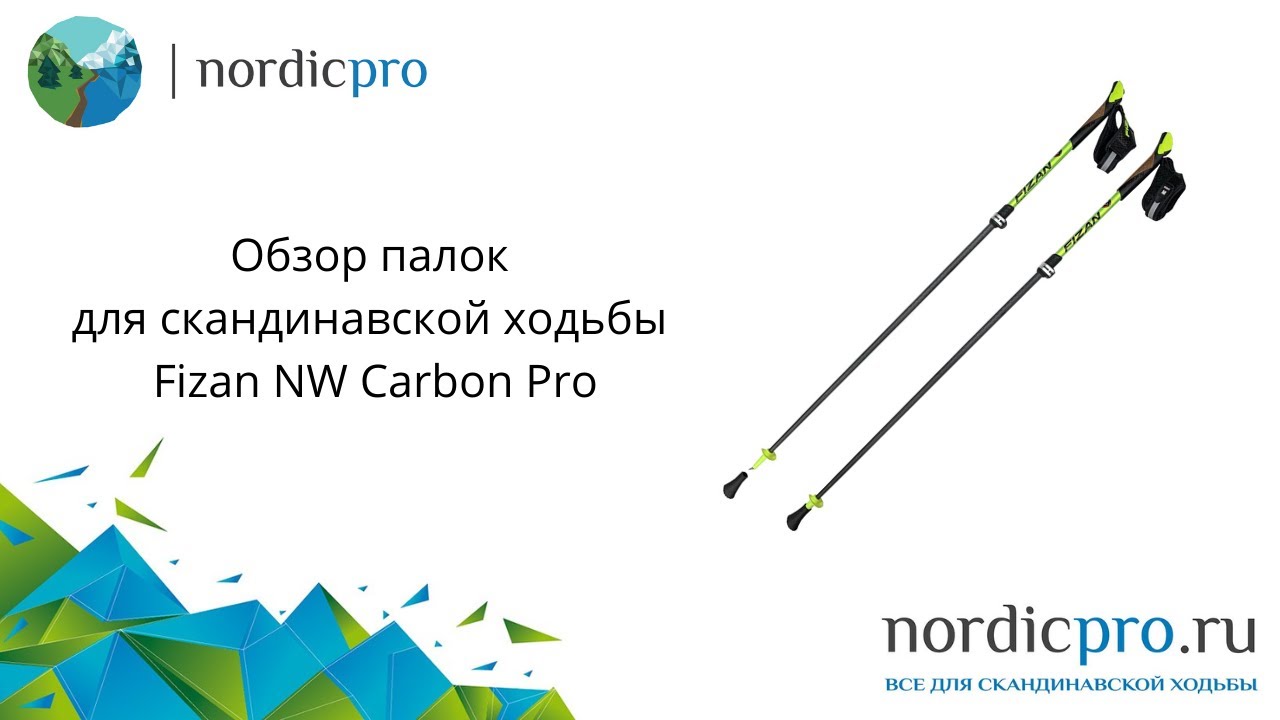Fizan NW Carbon Pro палки с высотой от 105 до 130 см и острым когтем