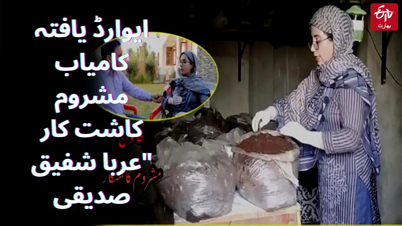 Ganderal Mushroom Grower Girl ایوارڈ یافتہ کامیاب مشروم کاشت کار 