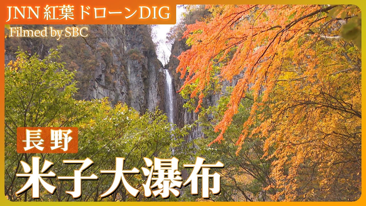 紅葉の米子大瀑布【JNN 紅葉ドローンDIG 2023】| TBS NEWS DIG