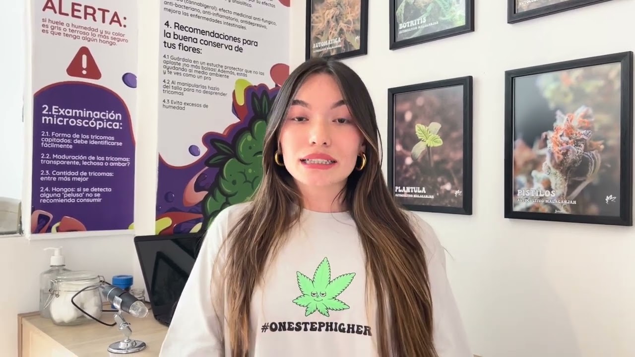 CONSUMO DE CANNABIS