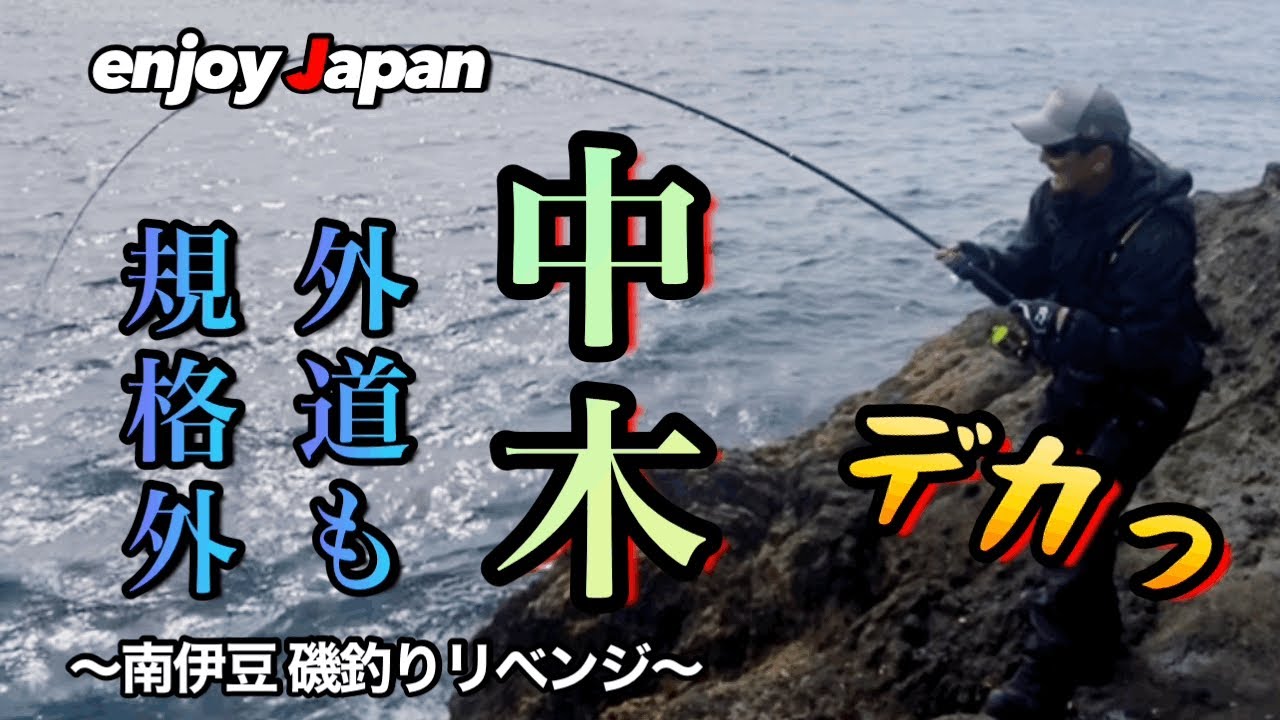 【南伊豆 中木で磯釣り】中木の沖磯でリベンジ釣行。規格外のアイツも釣れました。
