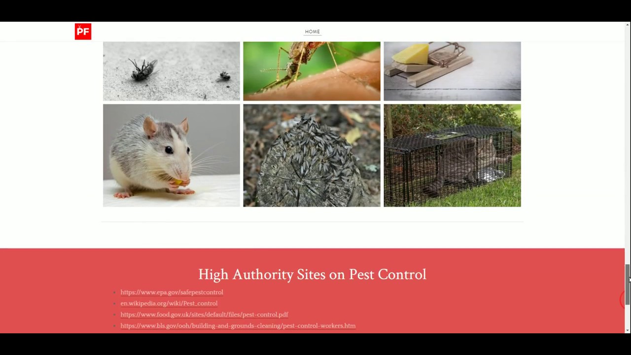 Types of Pest Control Services & Methods
