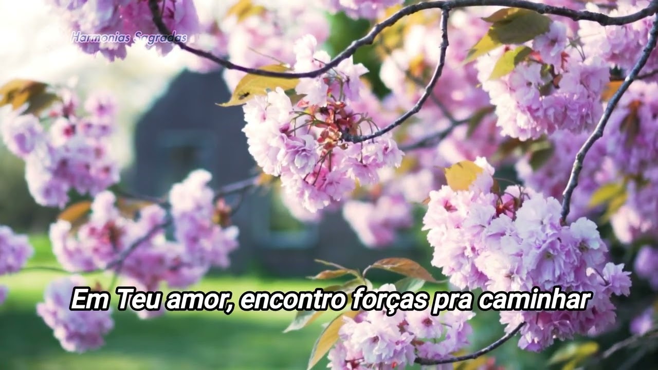 Hinos de Adoração ao Senhor : Em Todo Tempo