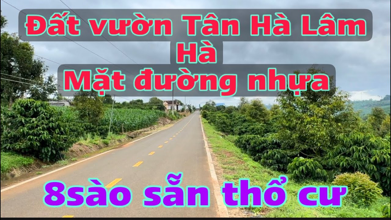 Đất vườn mặt đường nhựa, sẵn nhà ở và thổ cư xã Tân Hà Lâm Hà