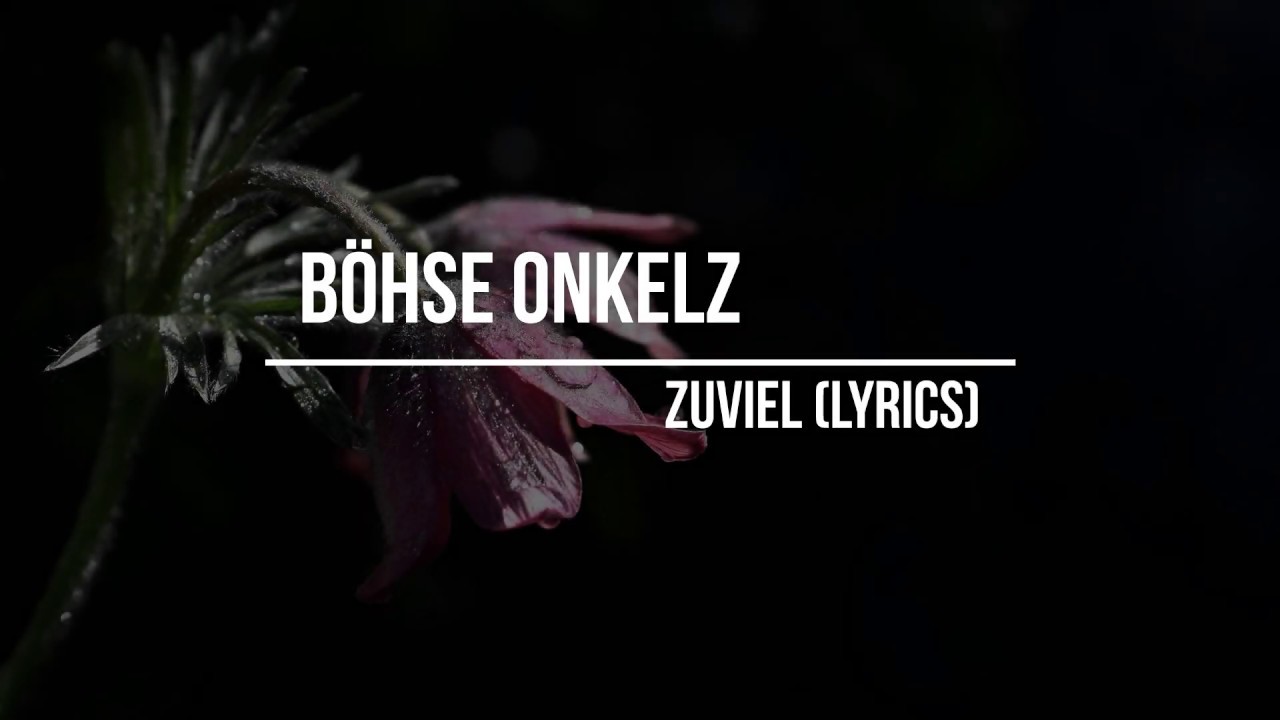 B&ouml;hse Onkelz - Zuviel (Lyrics)