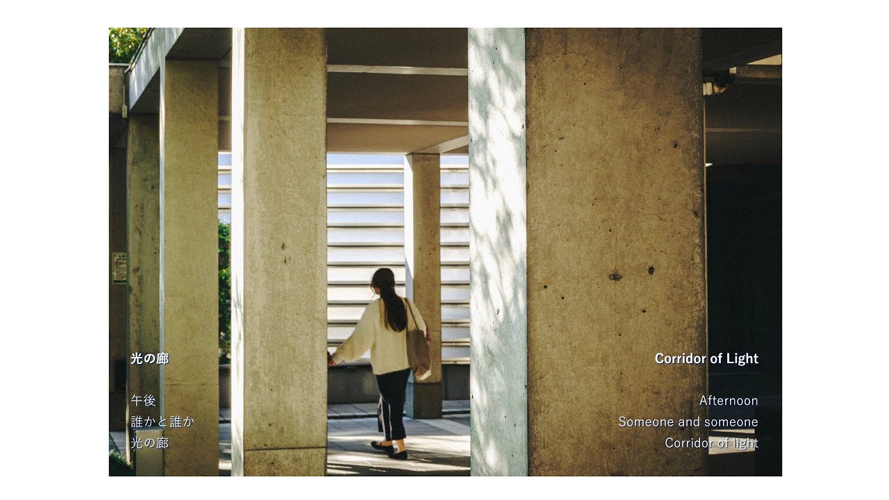 What I saw that day #46 秋の影｜Shadows of Autumn