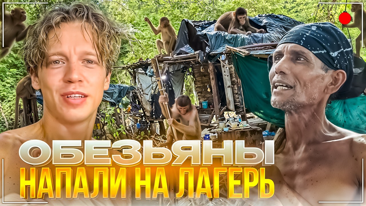 СТРАШНАЯ НОЧЬ НА ОСТРОВЕ С БИЛЛИ | ОБЕЗЬЯНЫ АТАКОВАЛИ НАШ ЛАГЕРЬ