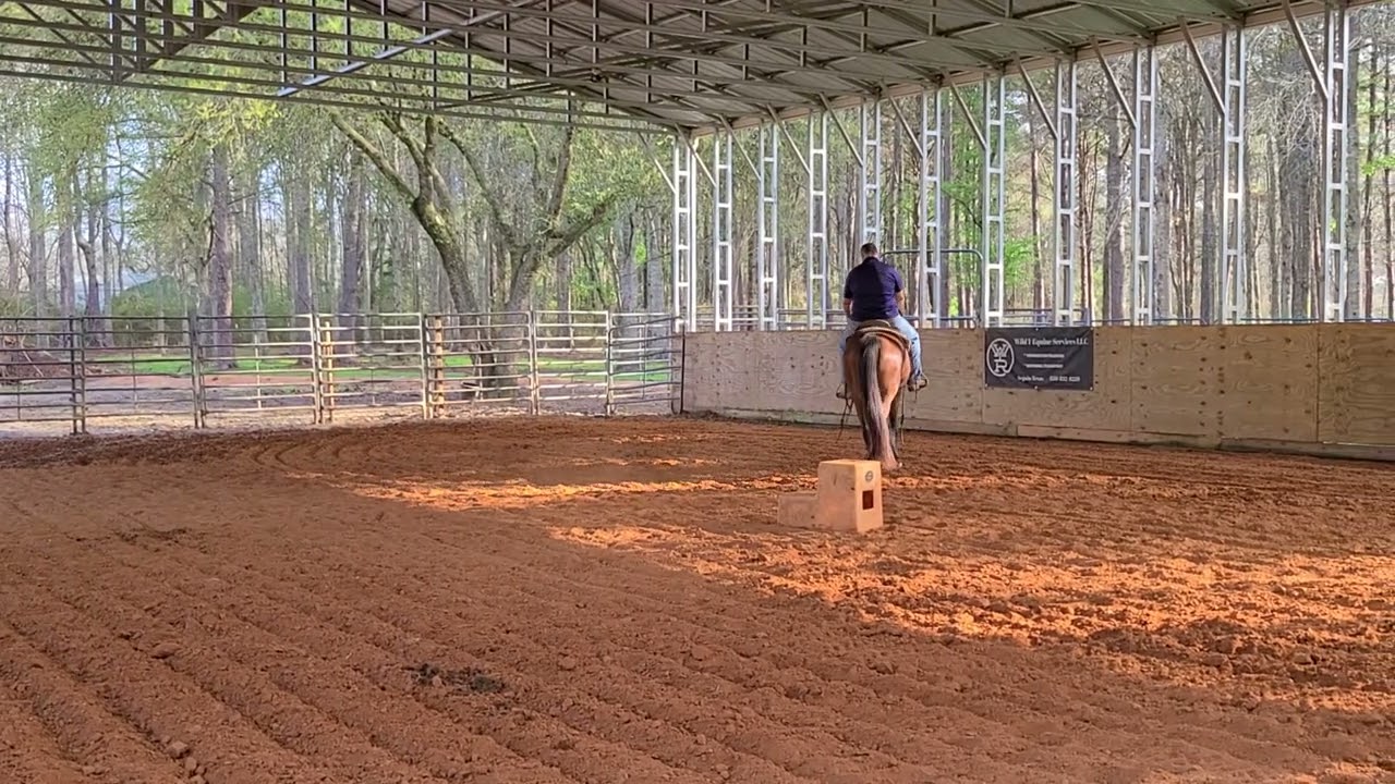 Оценка Стефана