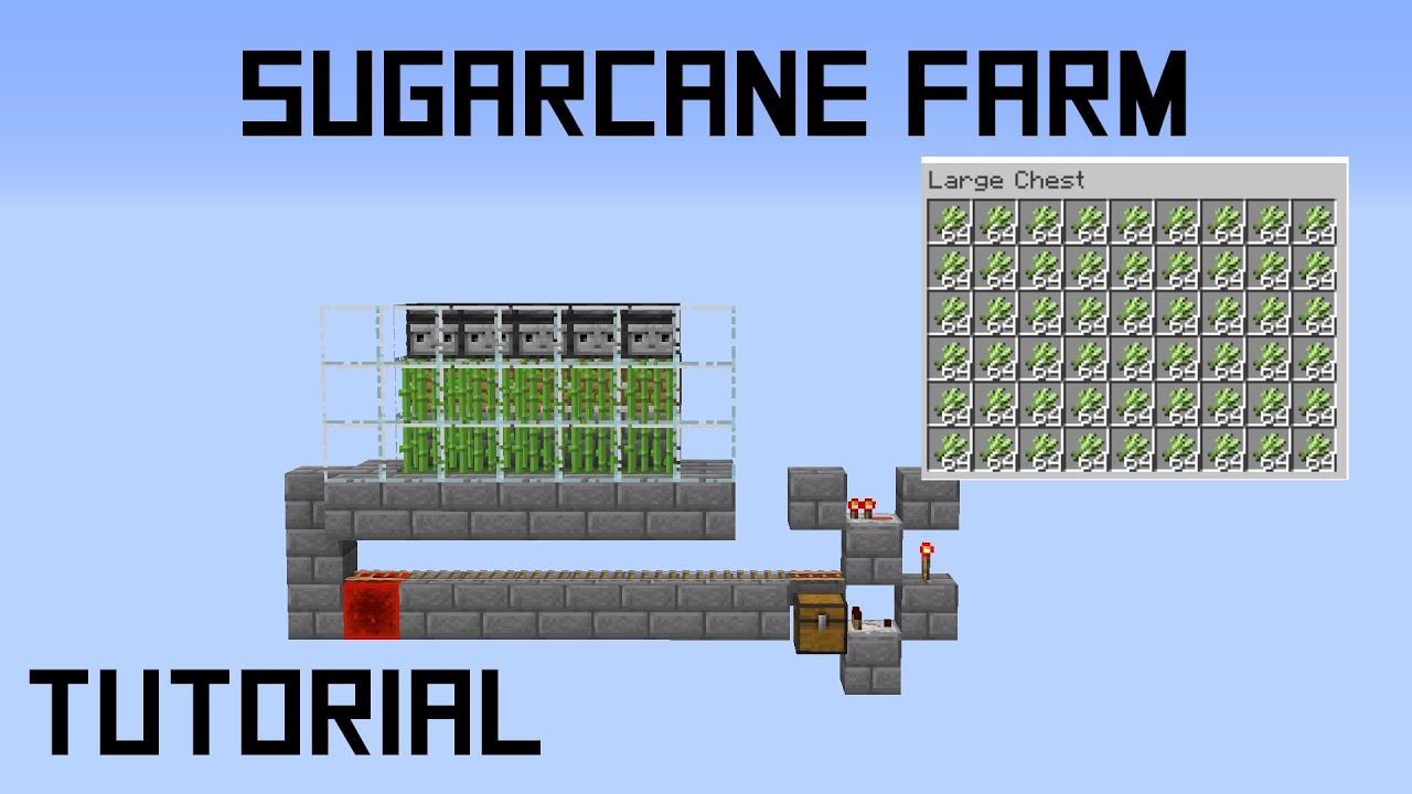 How to Make the BEST Sugarcane Farm in Minecraft 1.15+ No ZERO TICK