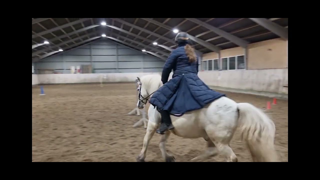 Ptv februar 2026 Sasha Bech Petersen & Firfod brd. Olsen 