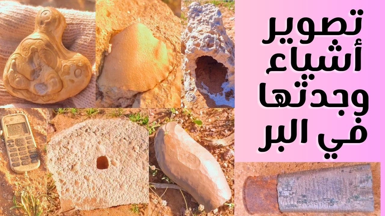 تصوير أشياء وجدتها في البر واكتشاف الطبيعة